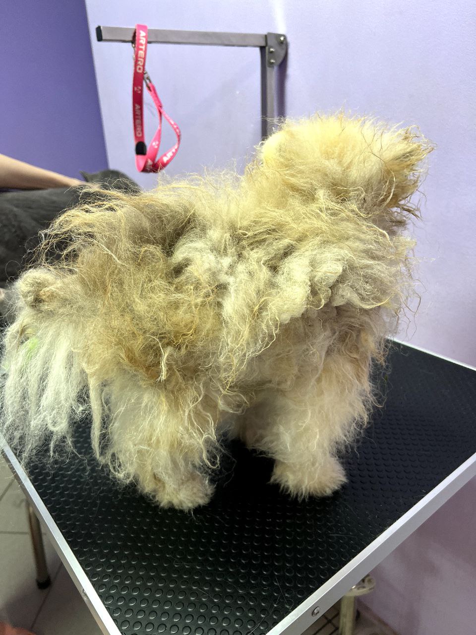 Haircut-induced alopecia