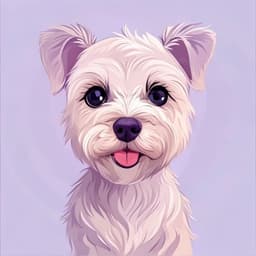 Jagdterrier